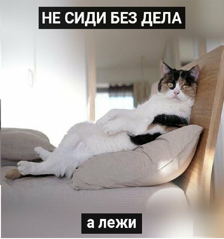 Увеличить Увеличить