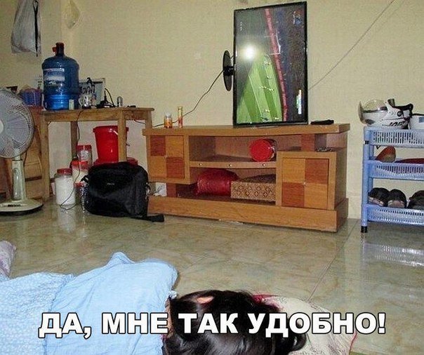 Увеличить Увеличить