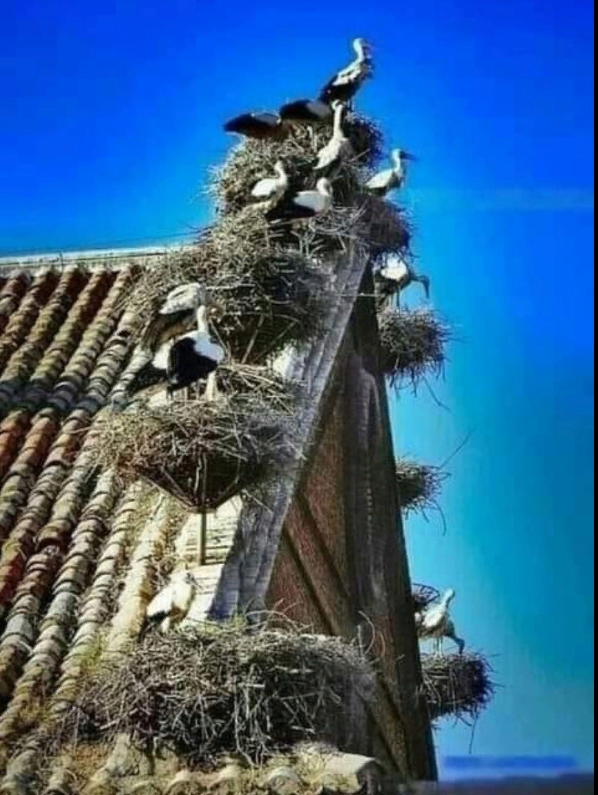 Увеличить Увеличить