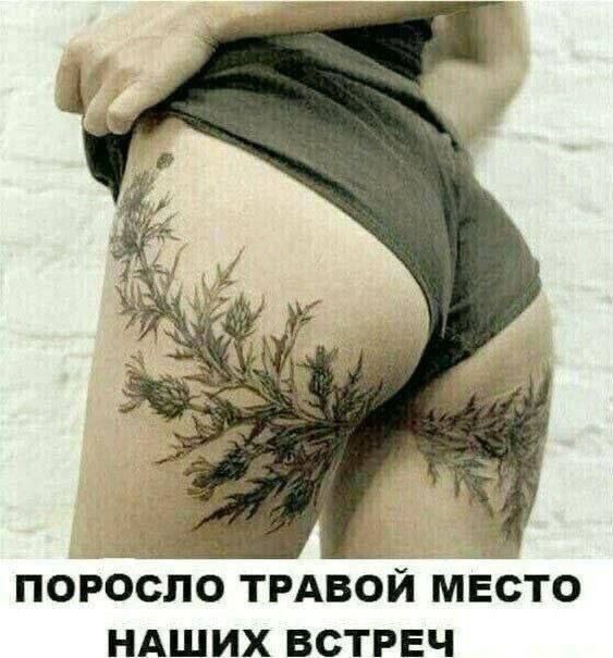 Увеличить Увеличить