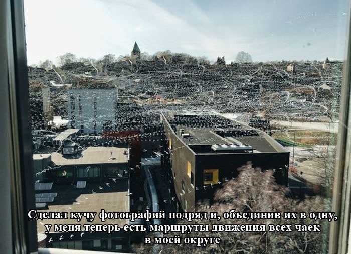 Увеличить Увеличить
