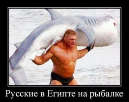 Увеличить Увеличить