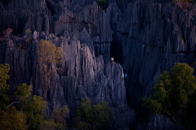 ЦИНГИ ДЕ БАХМАРА! КАМЕННЫЙ ЛЕС?!