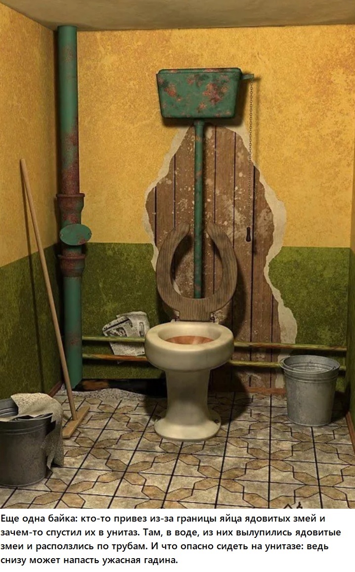туалет на отдыхе