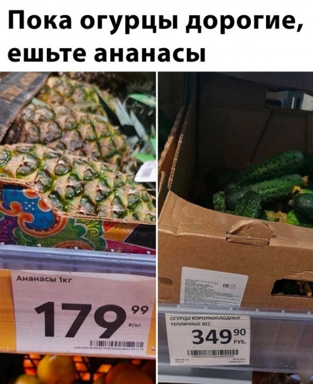 Увеличить Увеличить