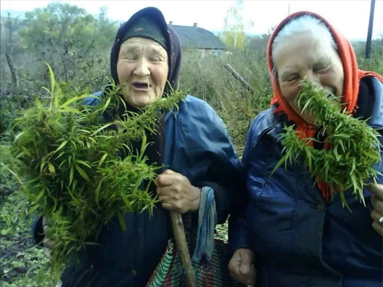 Увеличить Увеличить
