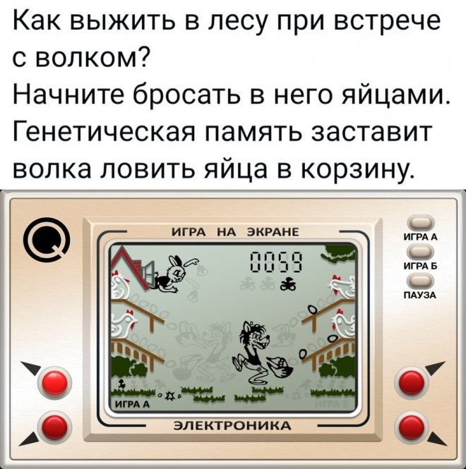 Увеличить Увеличить