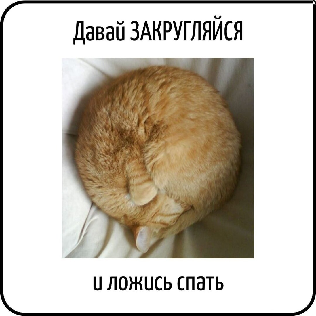 Увеличить Увеличить