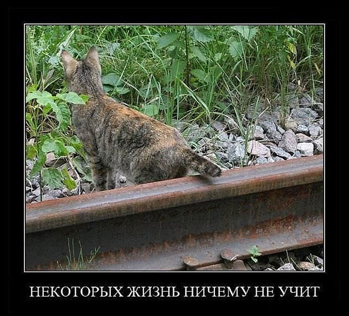 Увеличить Увеличить