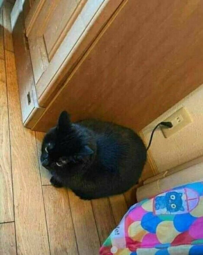 Увеличить Увеличить