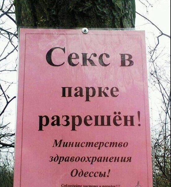 Увеличить Увеличить