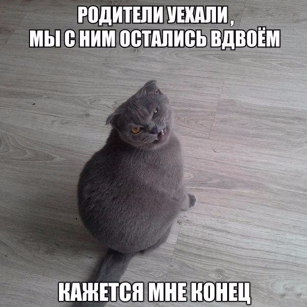 Увеличить Увеличить