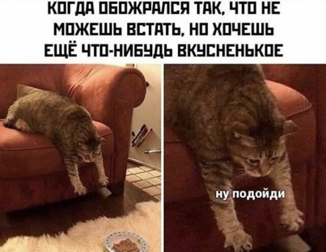Увеличить Увеличить