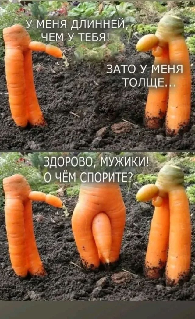 Увеличить Увеличить