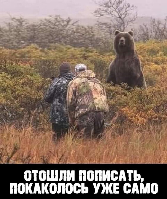 Увеличить Увеличить