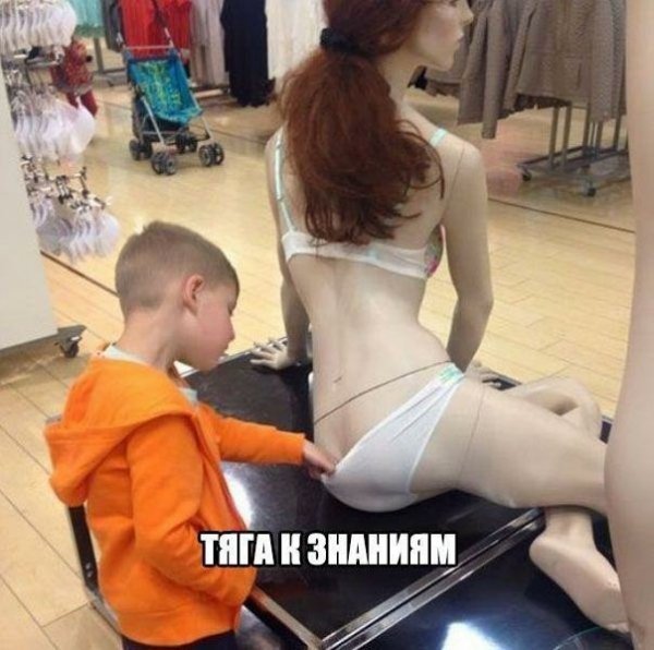 Увеличить Увеличить