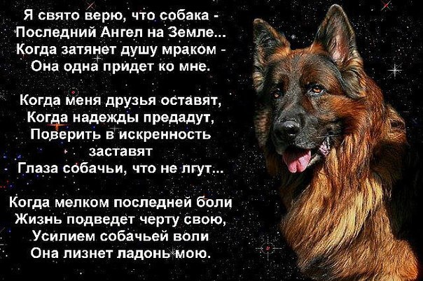 Увеличить Увеличить