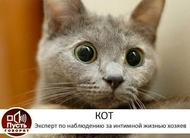Увеличить Увеличить