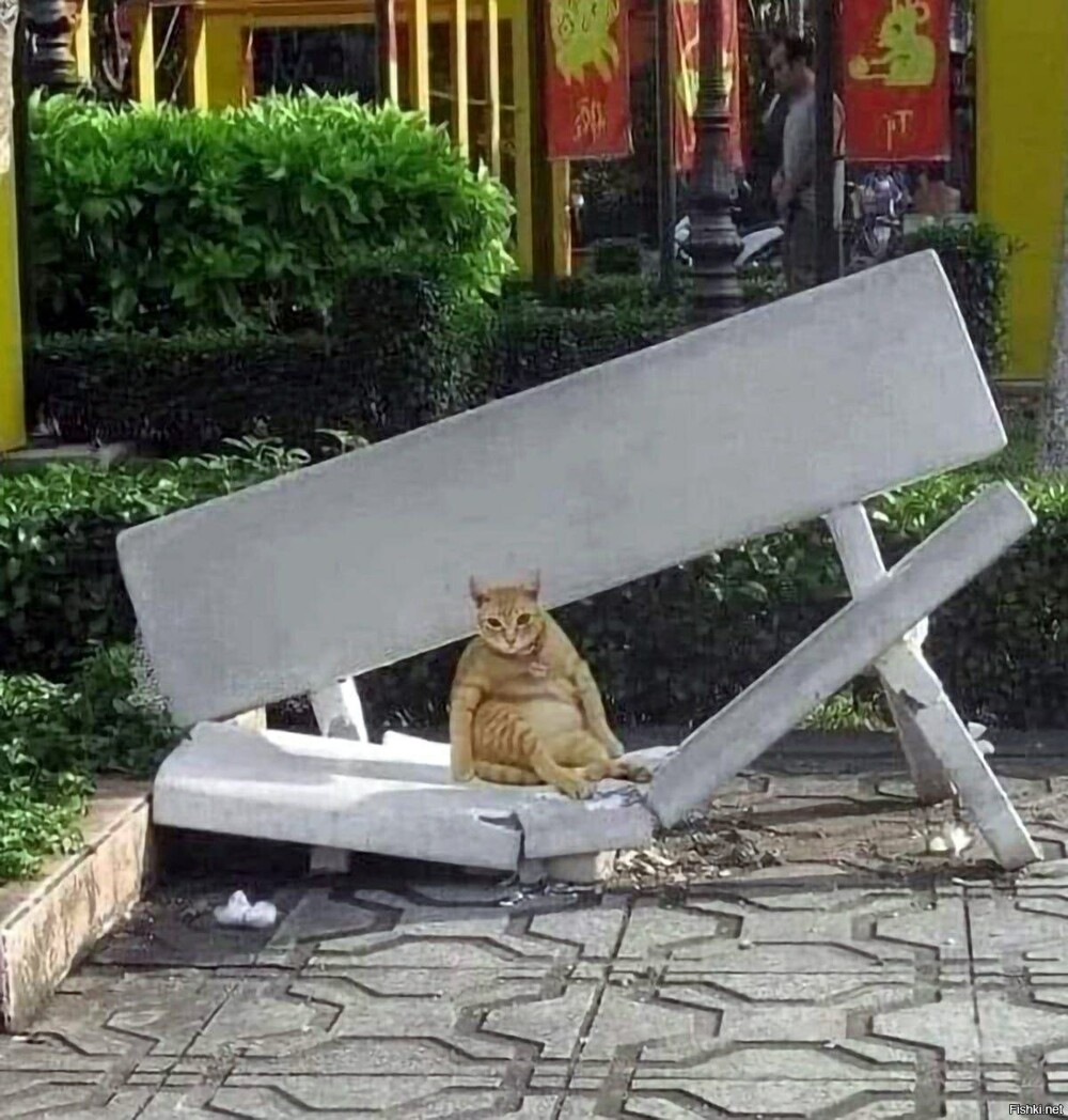 Увеличить Увеличить
