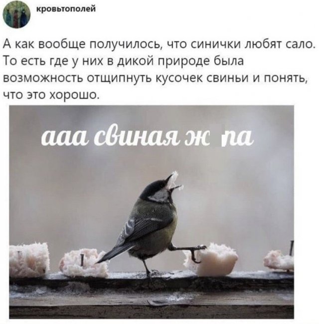 Увеличить Увеличить