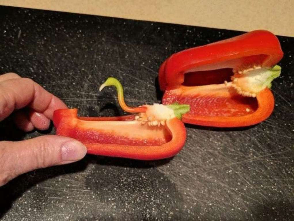 Увеличить Увеличить