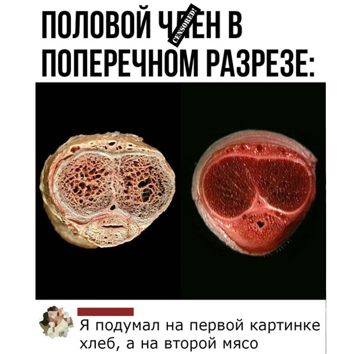 Увеличить Увеличить