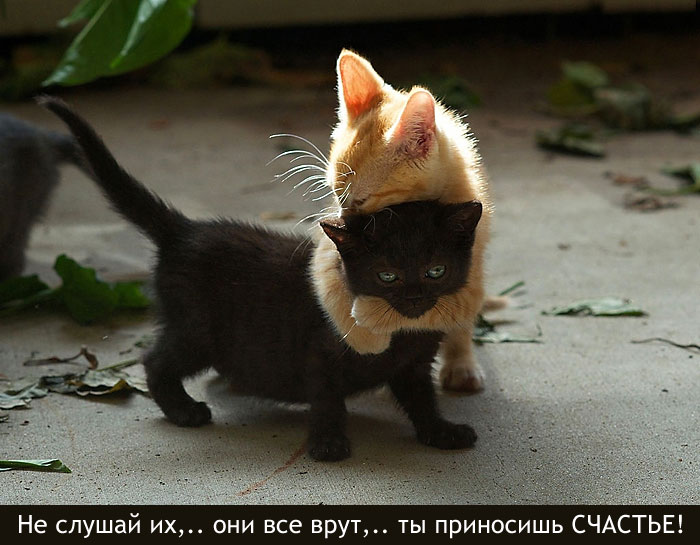 Увеличить Увеличить