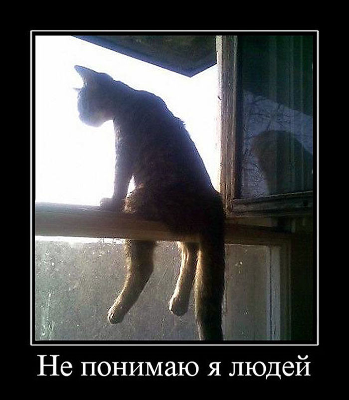 Увеличить Увеличить