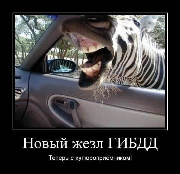 Увеличить Увеличить