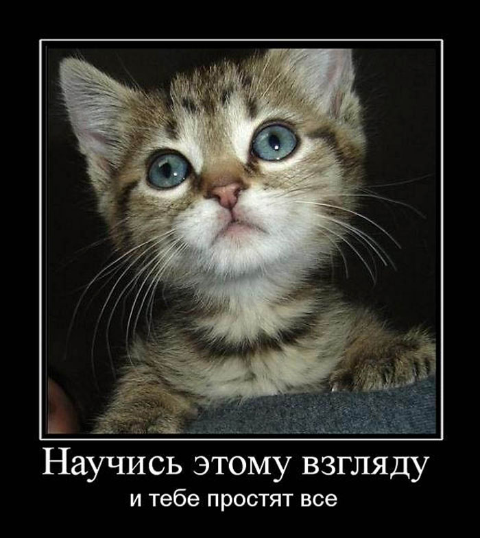 Увеличить Увеличить