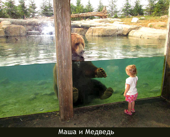 Увеличить Увеличить