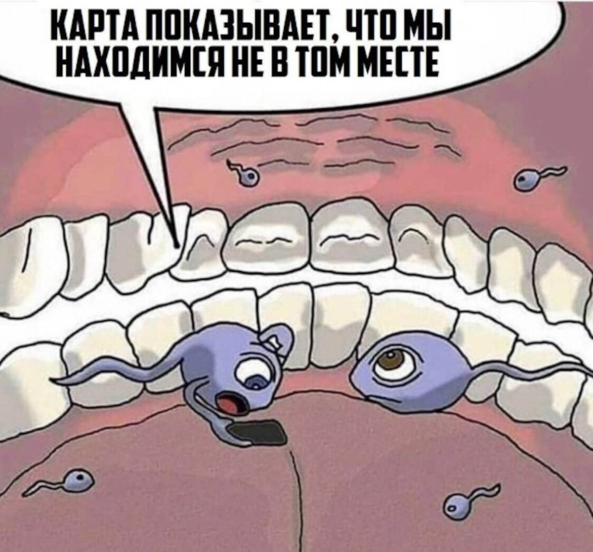 Увеличить Увеличить