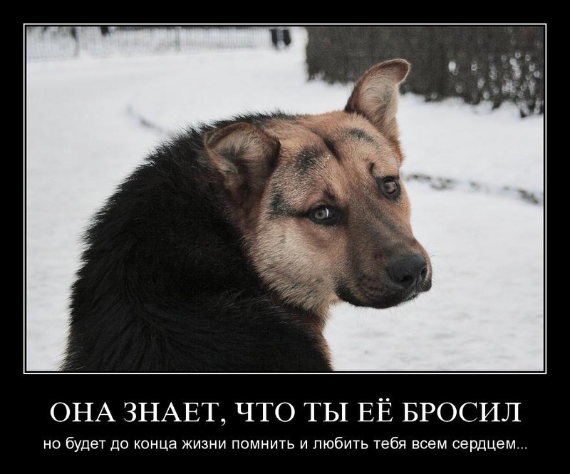 Увеличить Увеличить