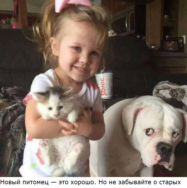 Увеличить Увеличить