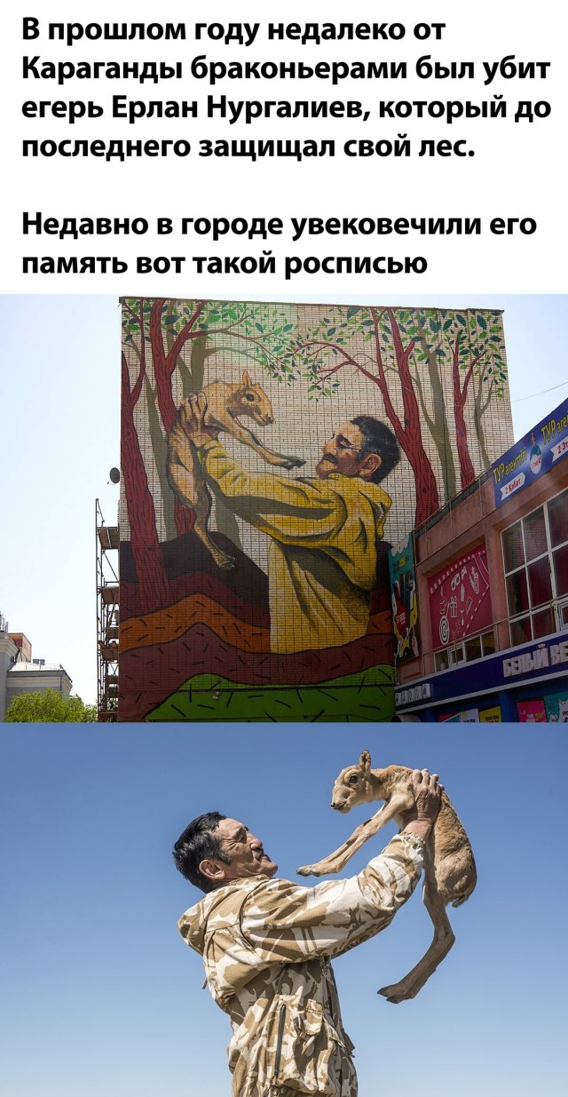 Увеличить Увеличить