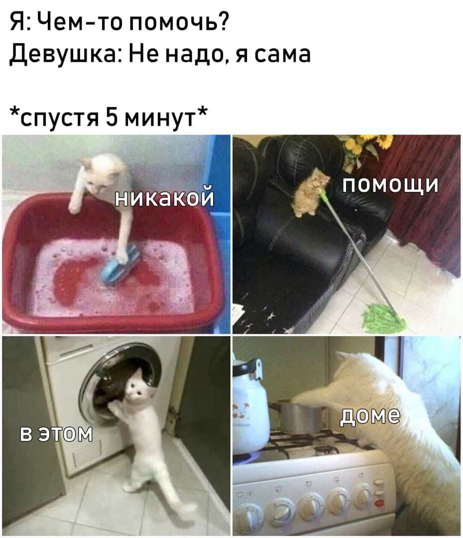 Увеличить Увеличить