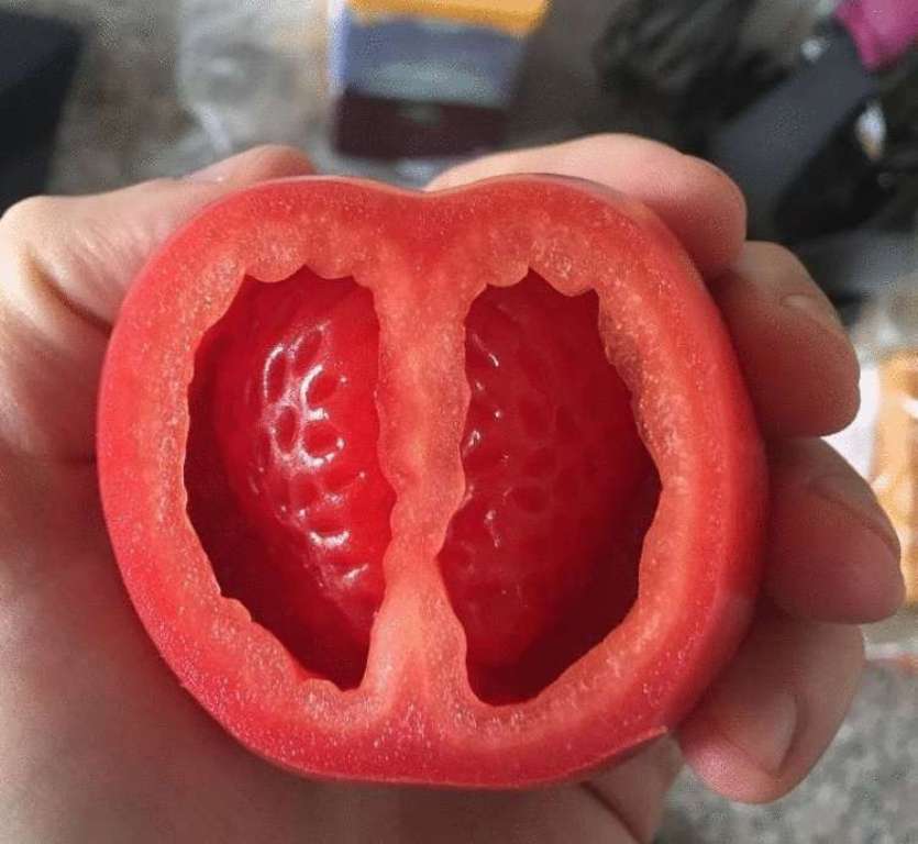 Увеличить Увеличить