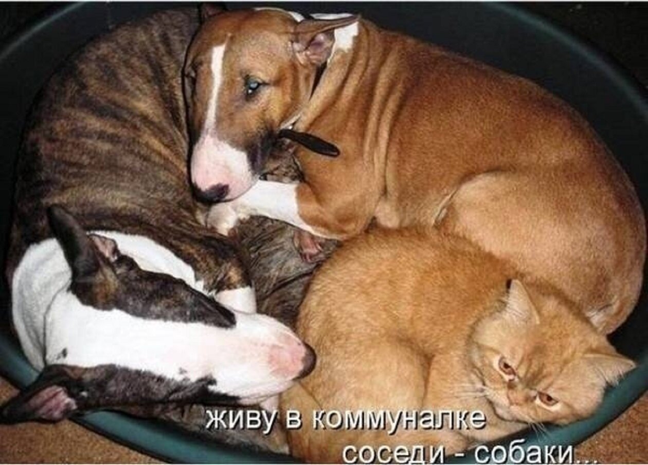 Увеличить Увеличить