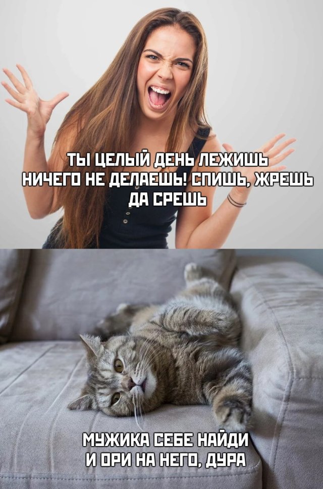 Увеличить Увеличить