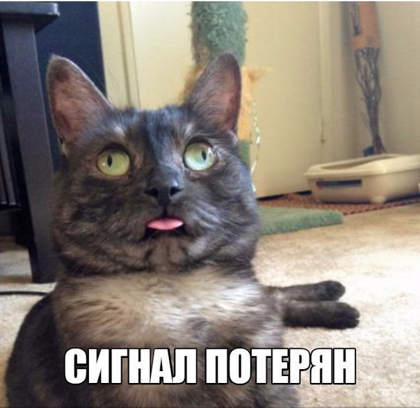Увеличить Увеличить