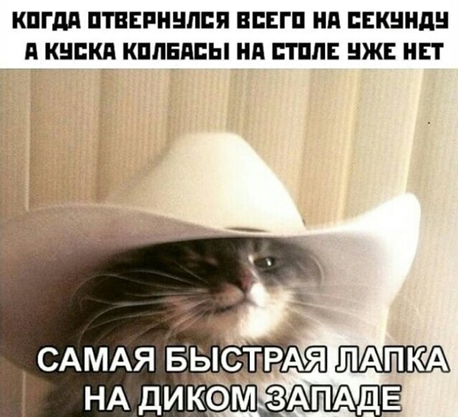 Увеличить Увеличить