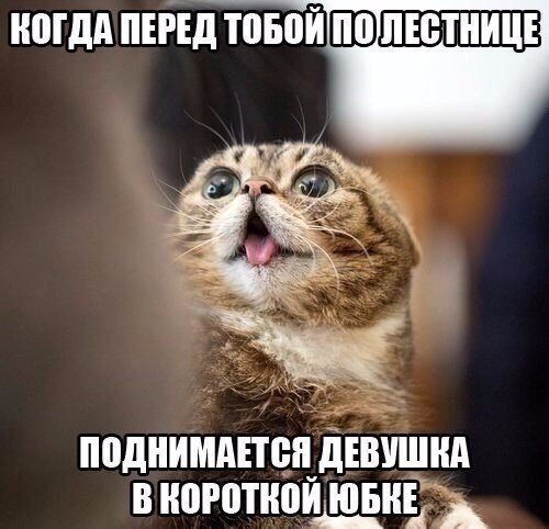 Увеличить Увеличить