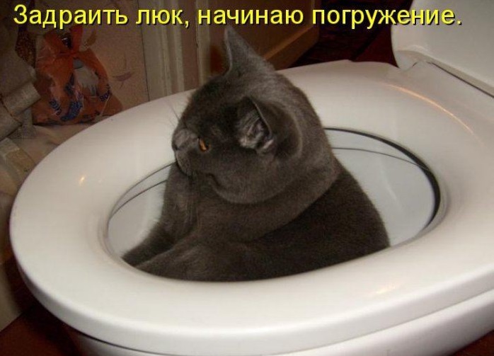 Увеличить Увеличить