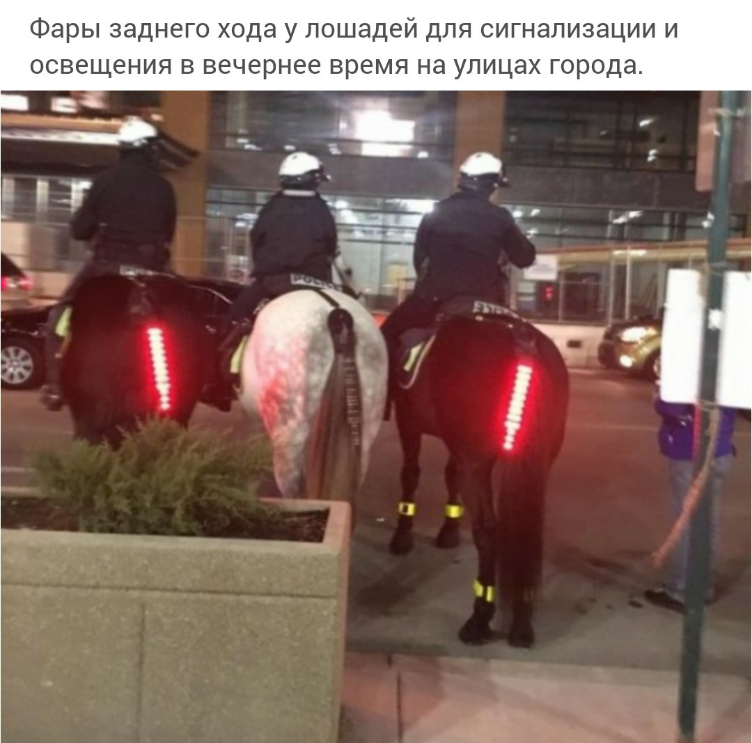 Увеличить Увеличить