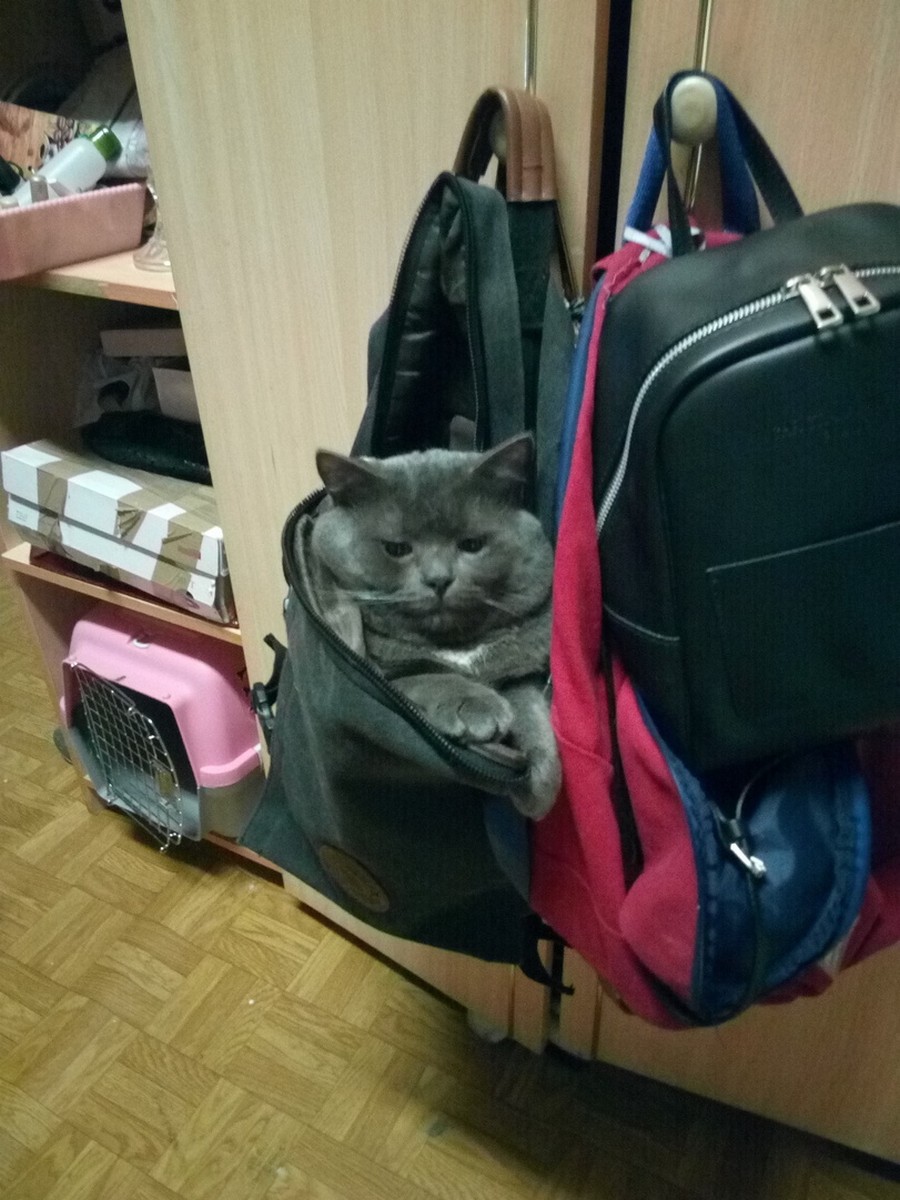 Увеличить Увеличить