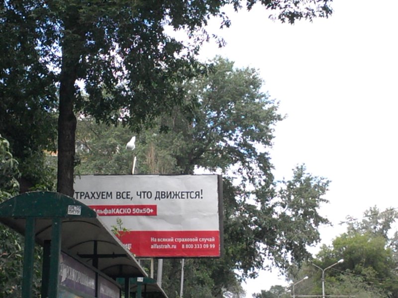 Увеличить Увеличить