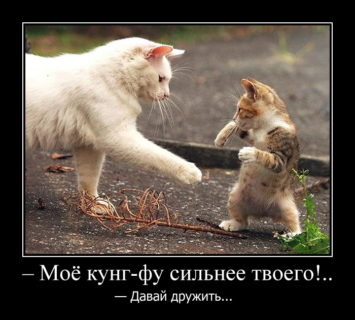 Увеличить Увеличить