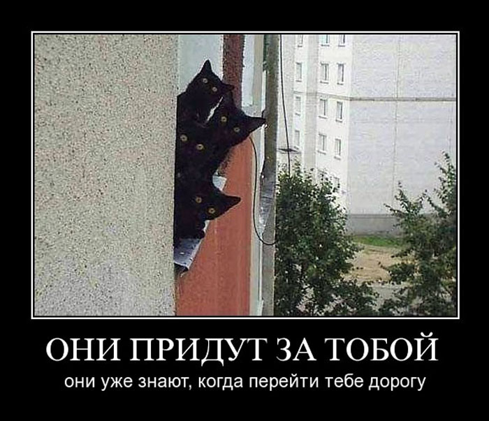 Увеличить Увеличить
