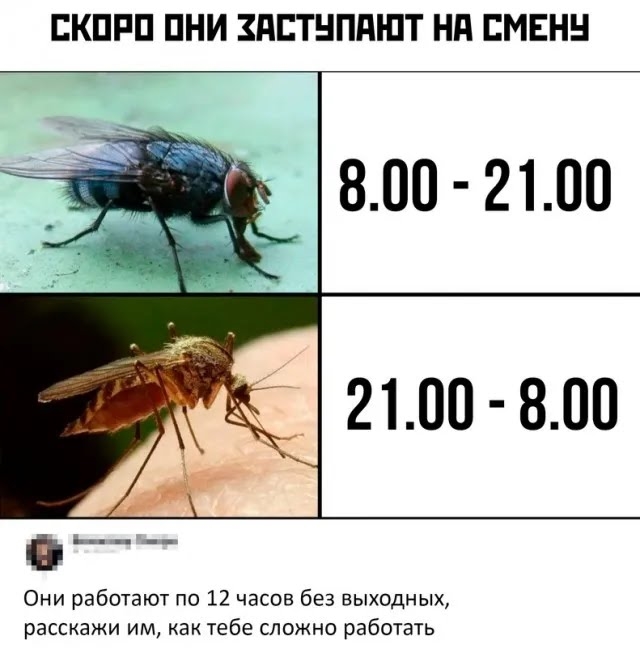 Увеличить Увеличить