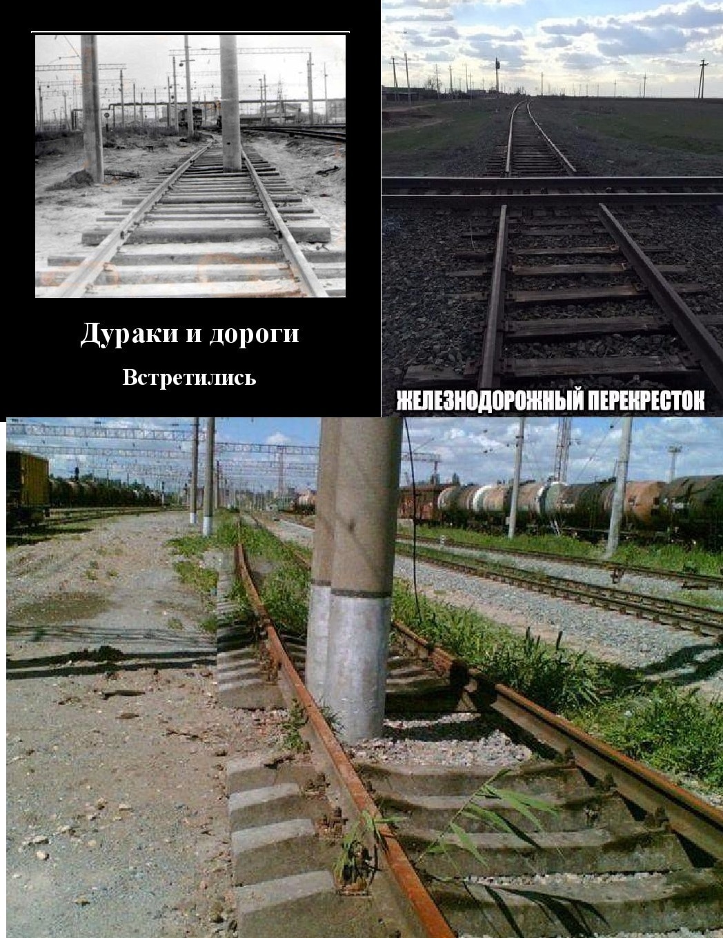 Увеличить Увеличить